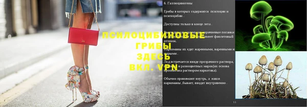 сатива Михайловка