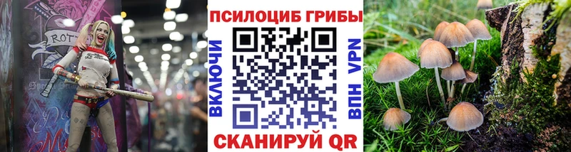 Псилоцибиновые грибы Cubensis  shop состав  Менделеевск 