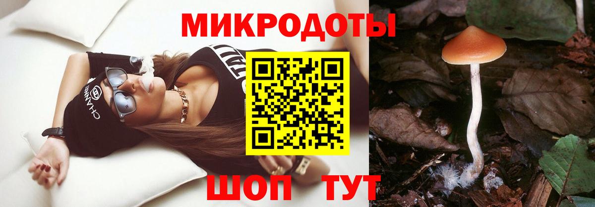 Менделеевск  Галлюциногенные грибы прущие грибы  Вход с VPN 